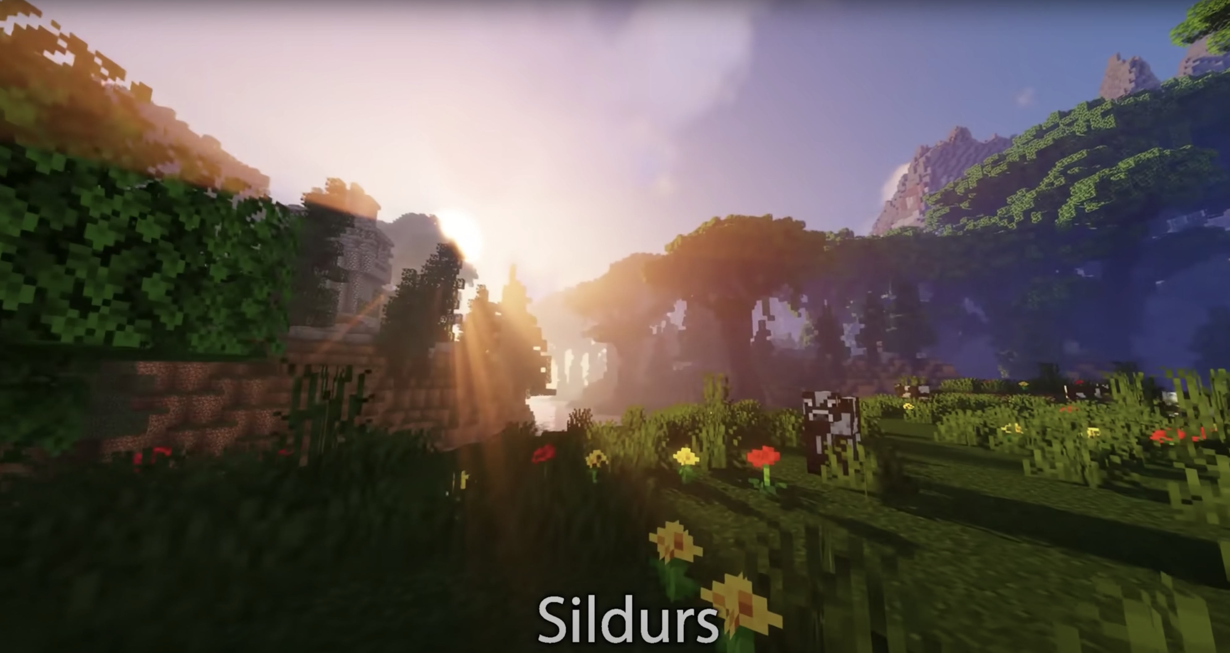 sildurs shader